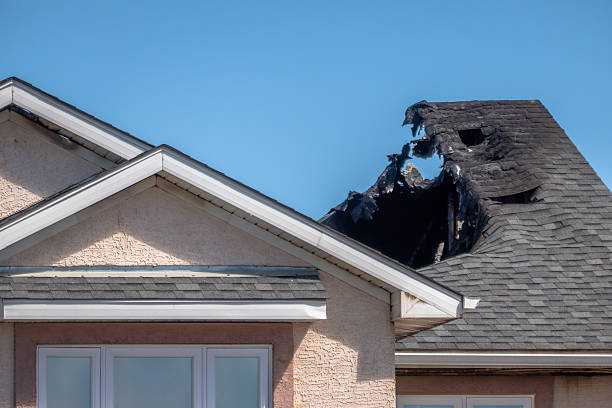 Top rated local Fire Damage Removal specialists in Richwood, NJ